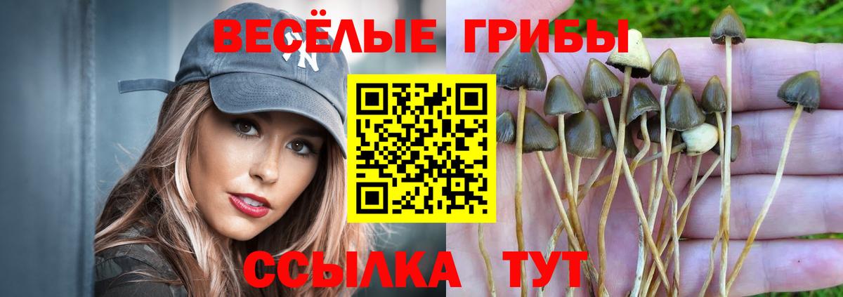 Псилоцибиновые грибы MAGIC MUSHROOMS  Вход с VPN  Москва  где купить наркоту  Псилоцибиновые грибы ЛСД 